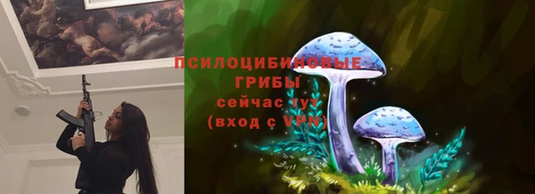 apvp Белоозёрский