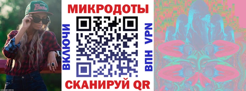закладка  Володарск  Галлюциногенные грибы Psilocybe 